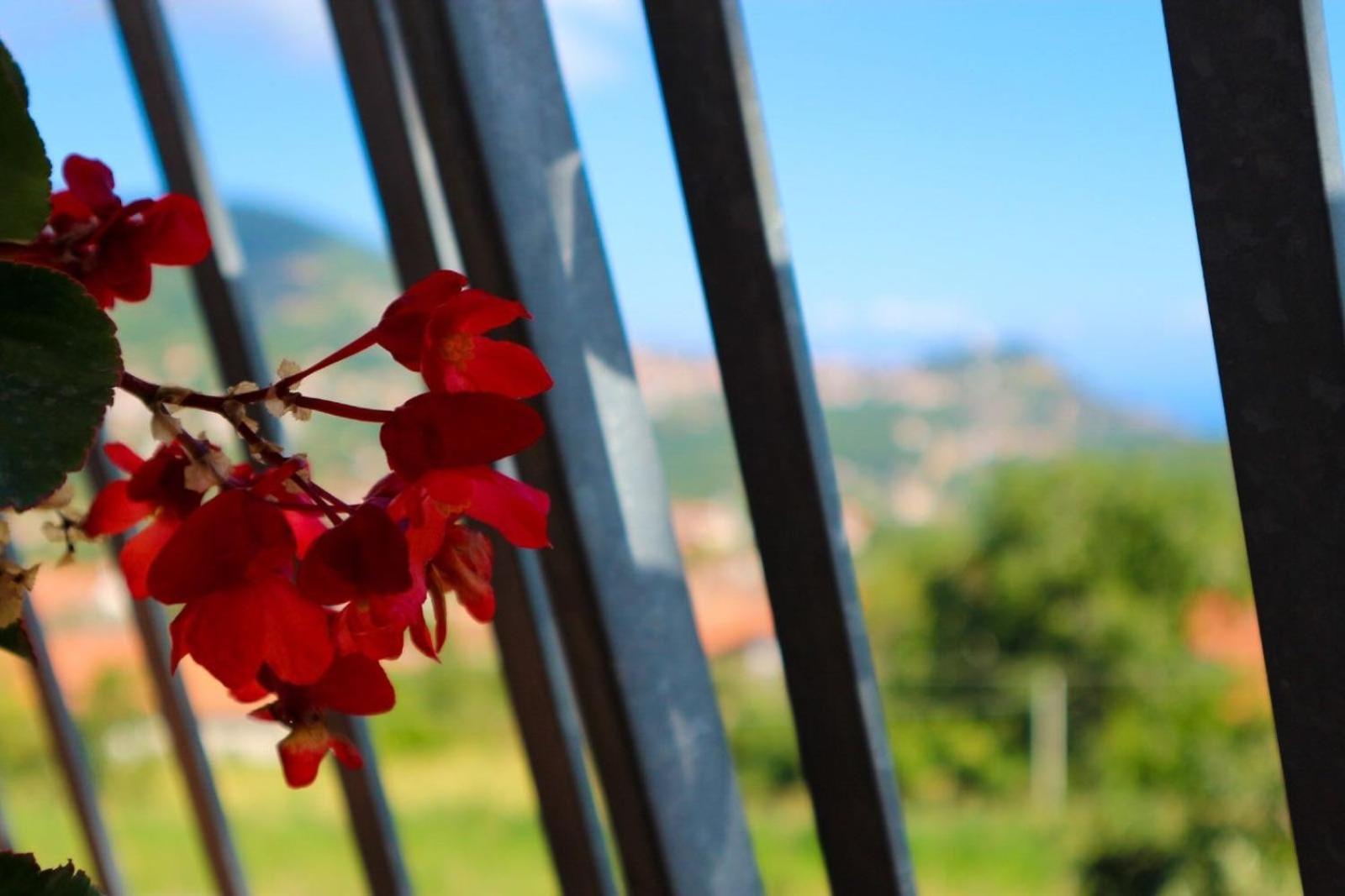 فيلا Il Balcone Delle Dee أَجيرولا المظهر الخارجي الصورة